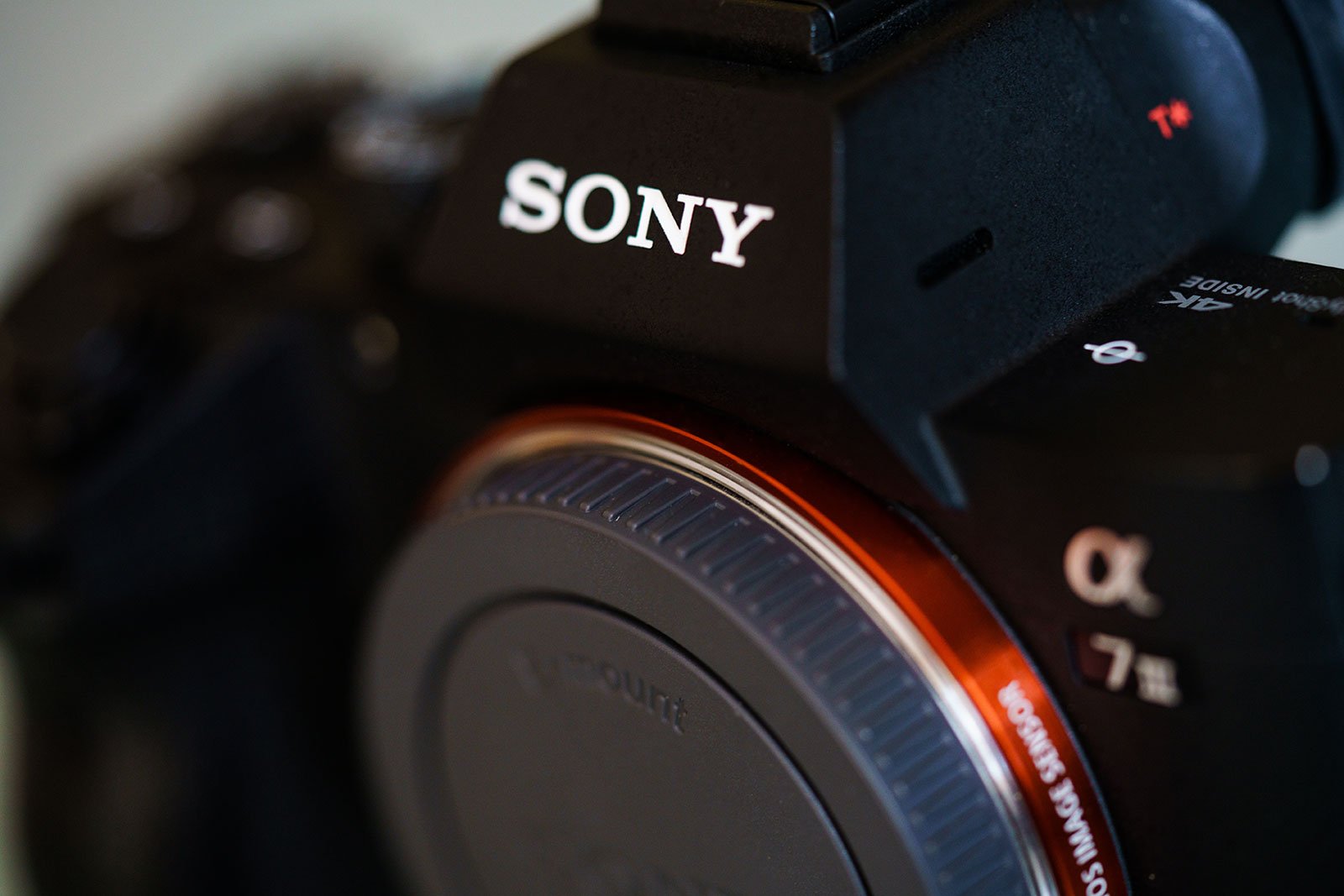 Sony Alpha 7 III in 2025: Still a Great Camera Choice?